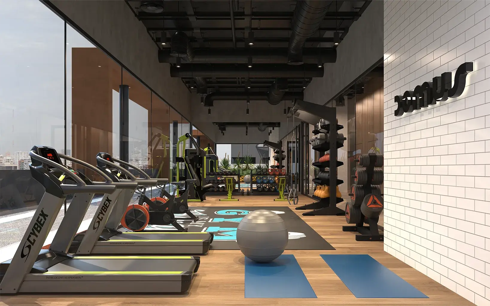 Gimnasio